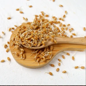vom Achterhof BIO Spermidin aus Weizenkeimen 500g – Bild 5