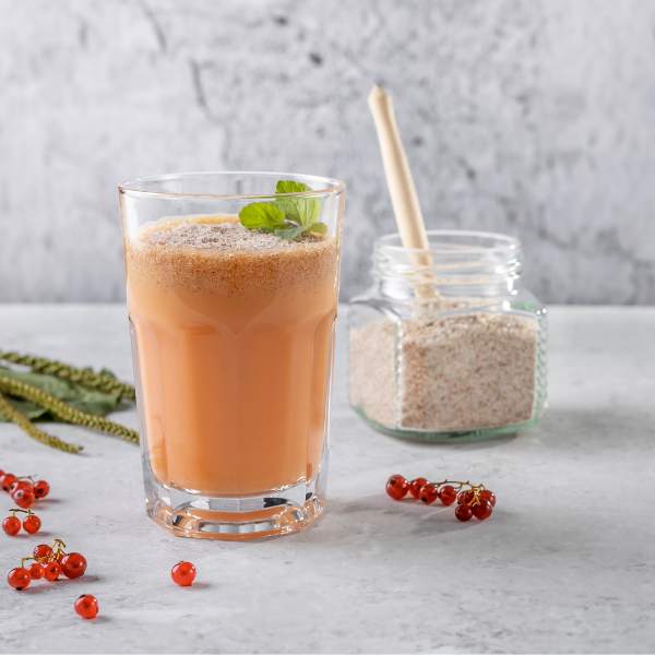 LebensForm PREMIUM Flohsamenschalen Bio 250g – Bild 3